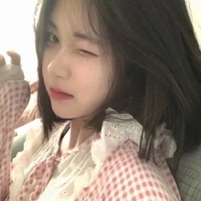 犯罪生涯