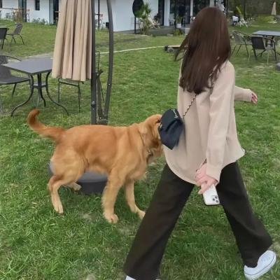 活死人之日